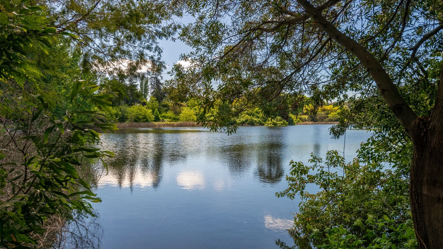Vistas que te acompañarán todos los días
Desde tu terraza o tu ventana sorprendente con la naturaleza del lugar.
